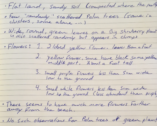 Field notes 1