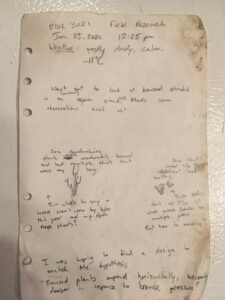 Thoughts on browse patterns