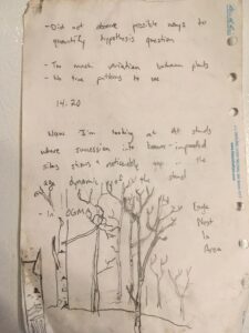 Aspen succession observations