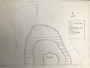 EnvironmentalGradient